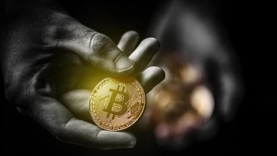 Creyeron que se harían millonarios con el trading de bitcoin, pero terminaron estafados